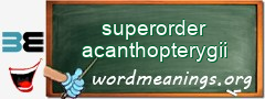 WordMeaning blackboard for superorder acanthopterygii